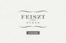 feiszt-logo