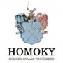 homoky-andras-logo7